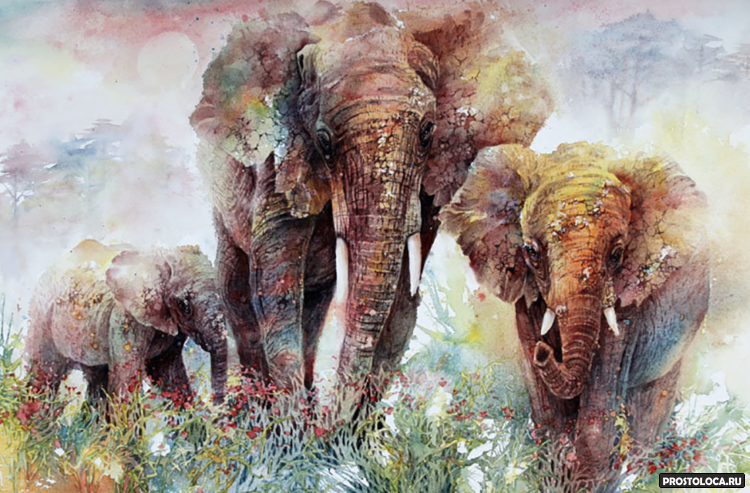 Сказка "Папа слон"